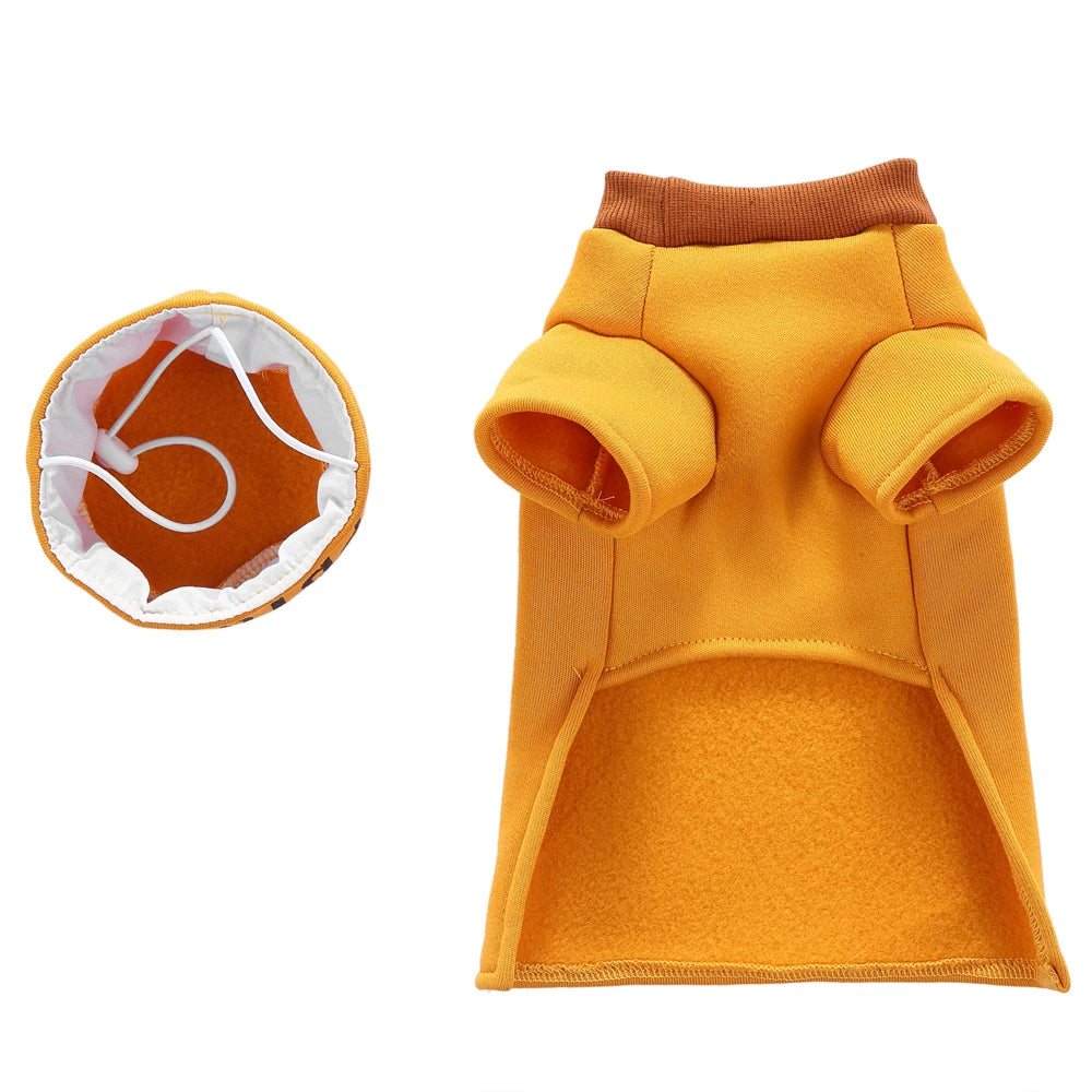 Hign-concerned Chemical Pet Cosplay Pirate Sorcerer Costume