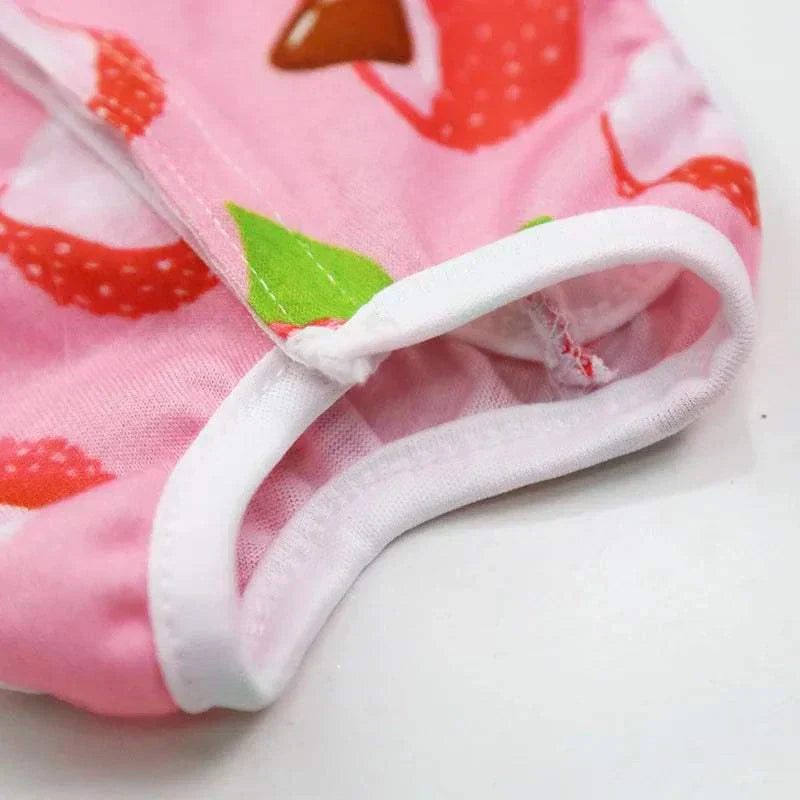 Pet Surgery Recovery Clothes Soft, Safe & Comfortable Healing Wear Now