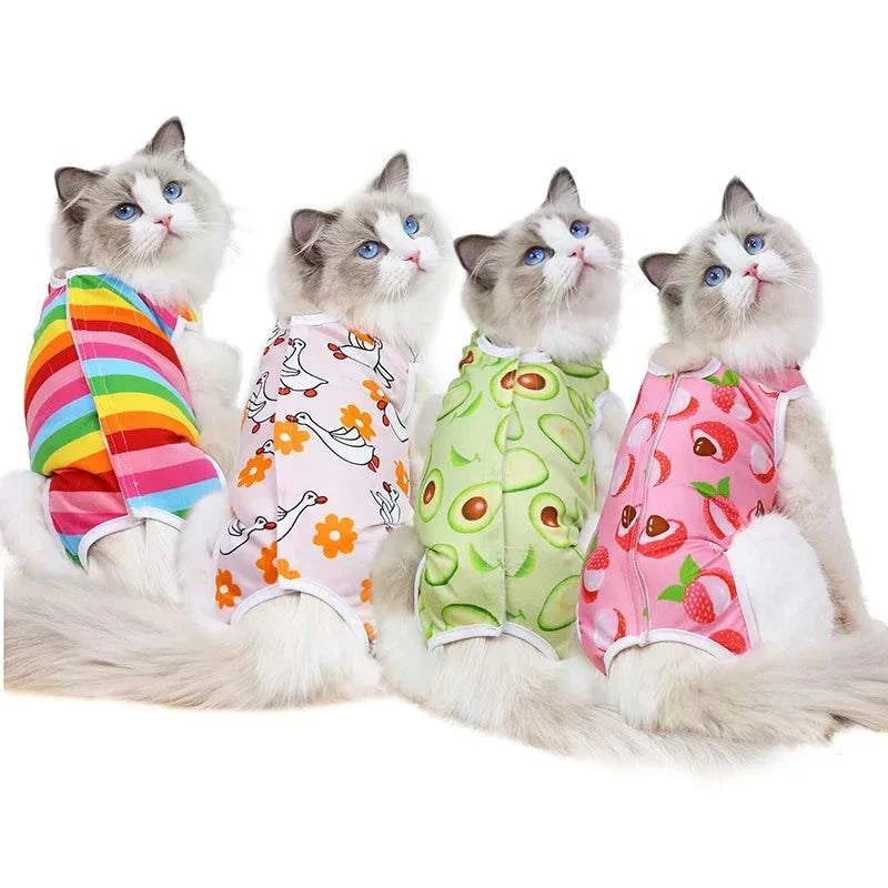 Pet Surgery Recovery Clothes Soft, Safe & Comfortable Healing Wear Now
