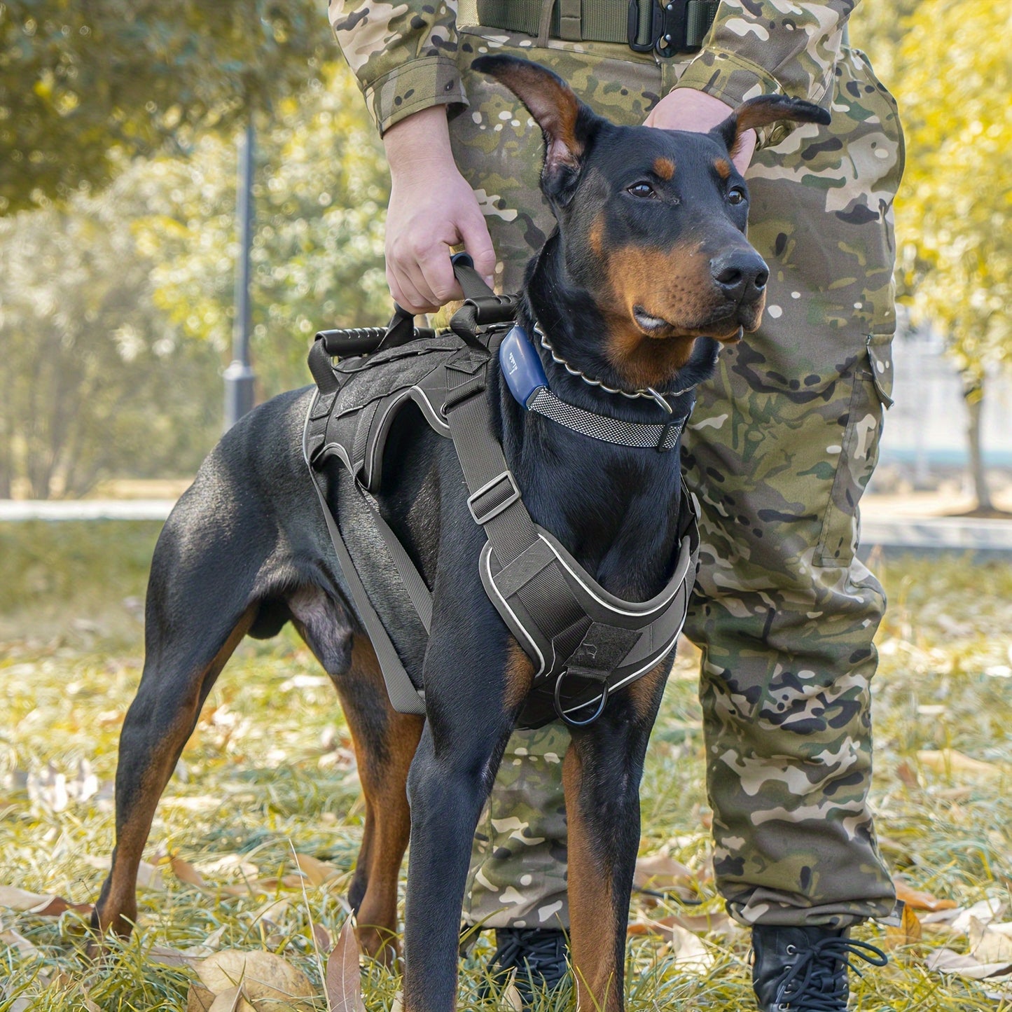Tactical Dog Harness for Outdoor Training and Night Adventures