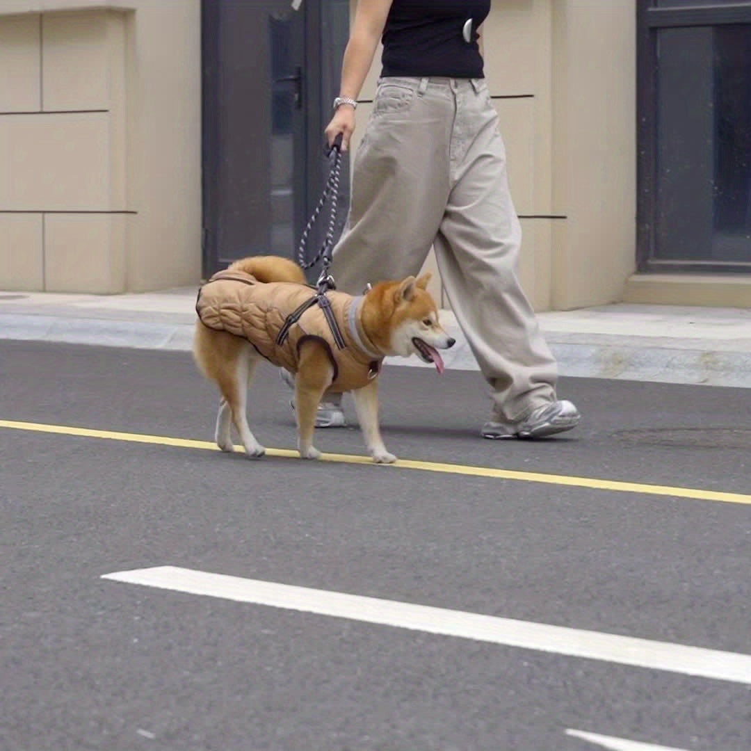 Winter Dog Coat With Leash Harness Reflective Padded Jacket