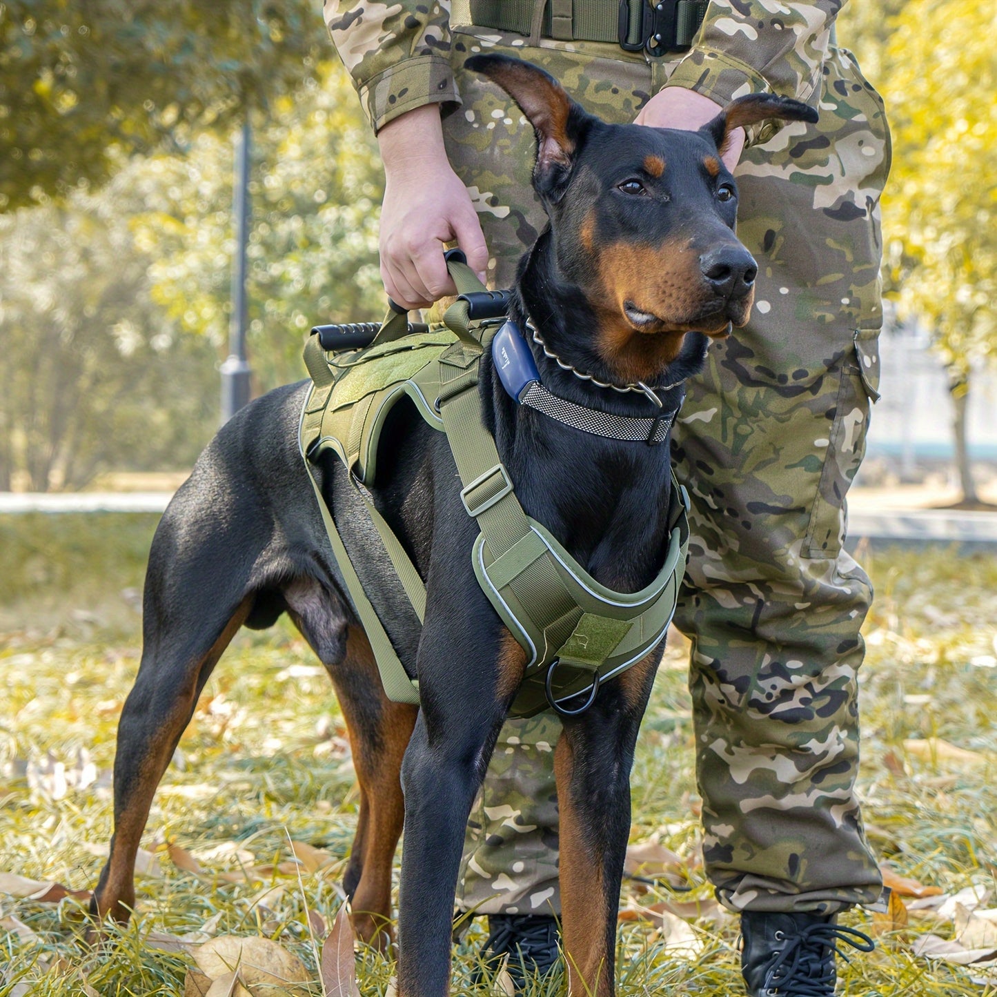 Tactical Dog Harness for Outdoor Training and Night Adventures