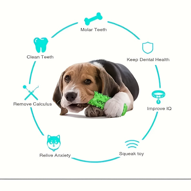 Durable Dog Toothbrush Toy for Chewing and Dental Care