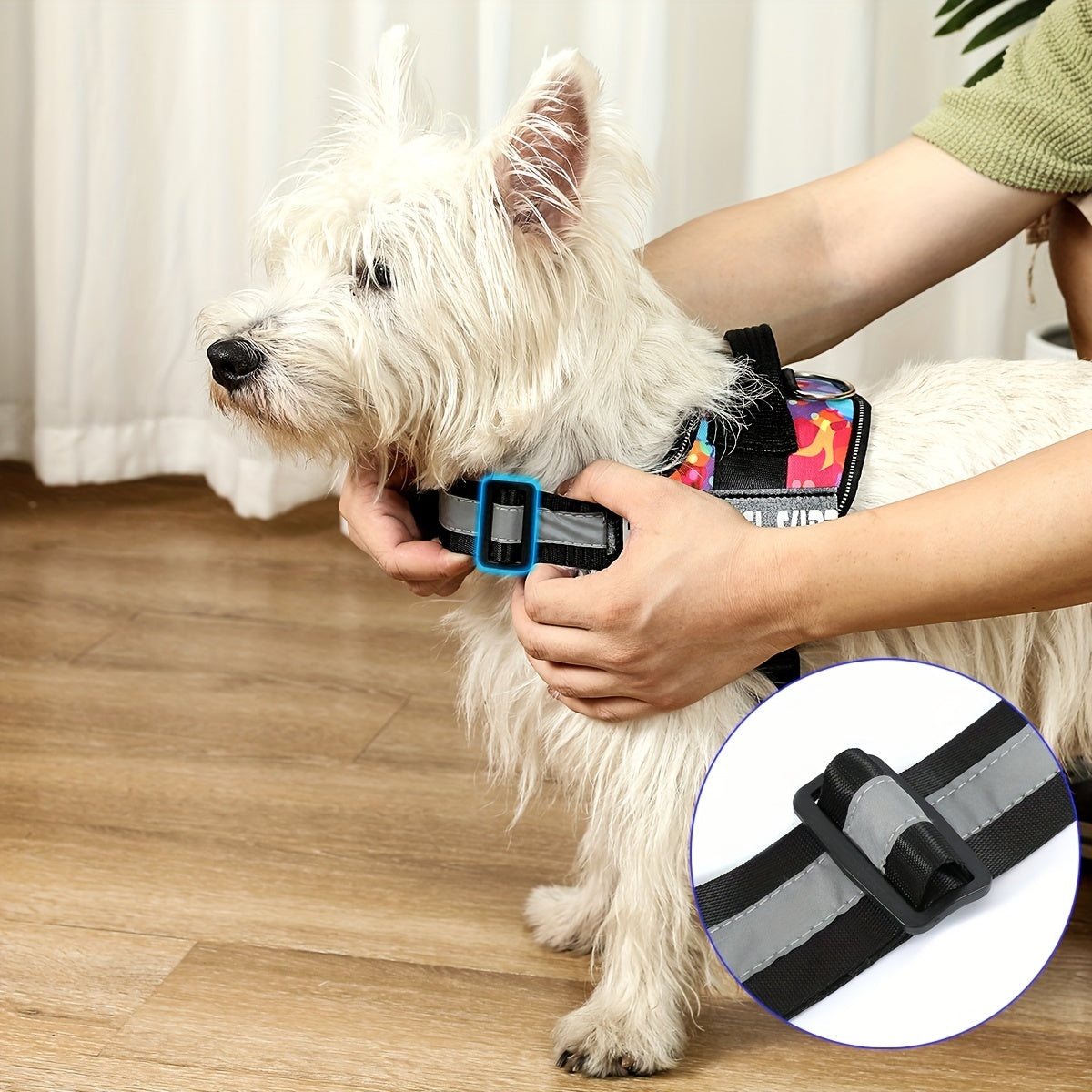 Customizable Heavy Duty No Pull Dog Harness with Personalized Details