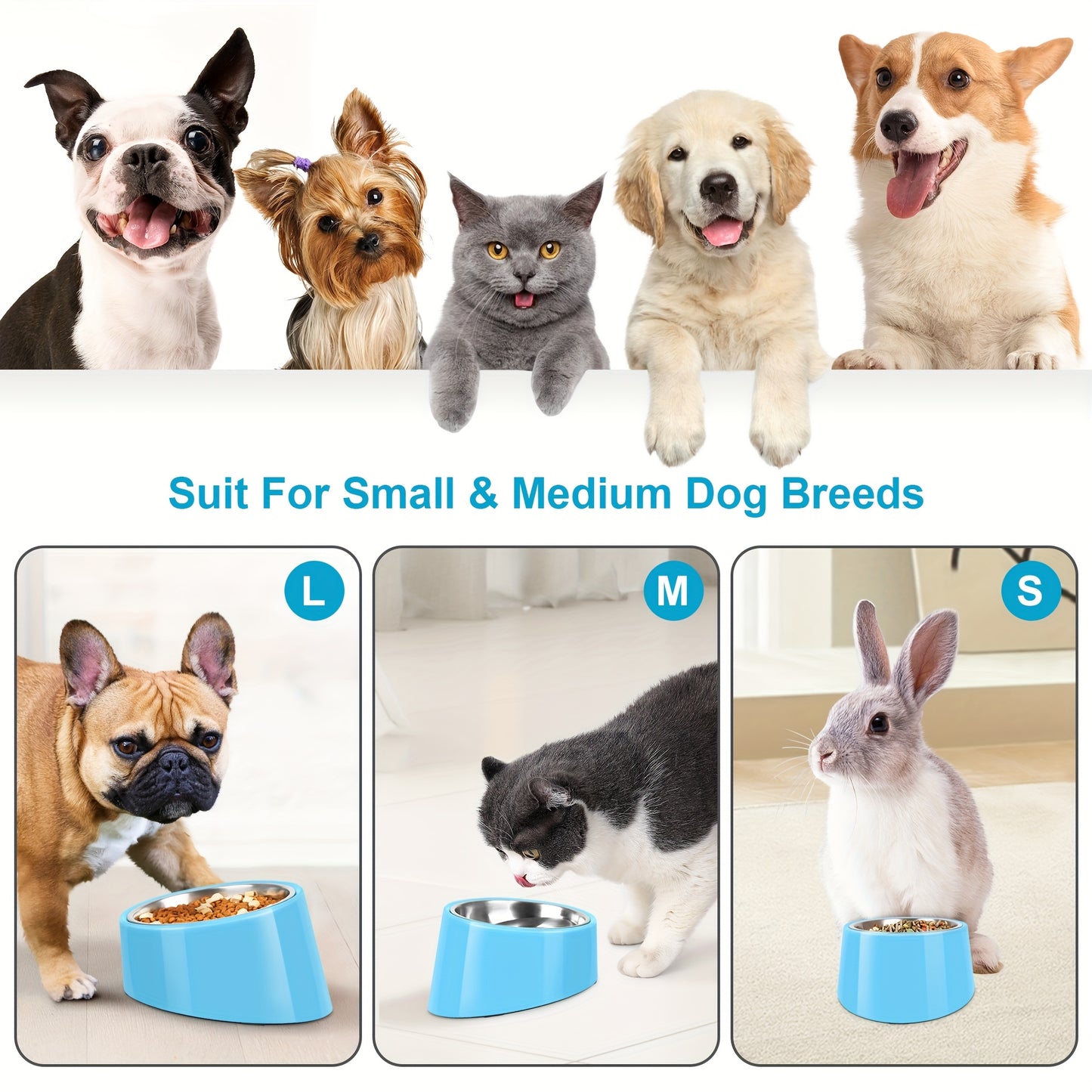 Slanted Dog Bowl Stainless Steel Non Slip Melamine Stand