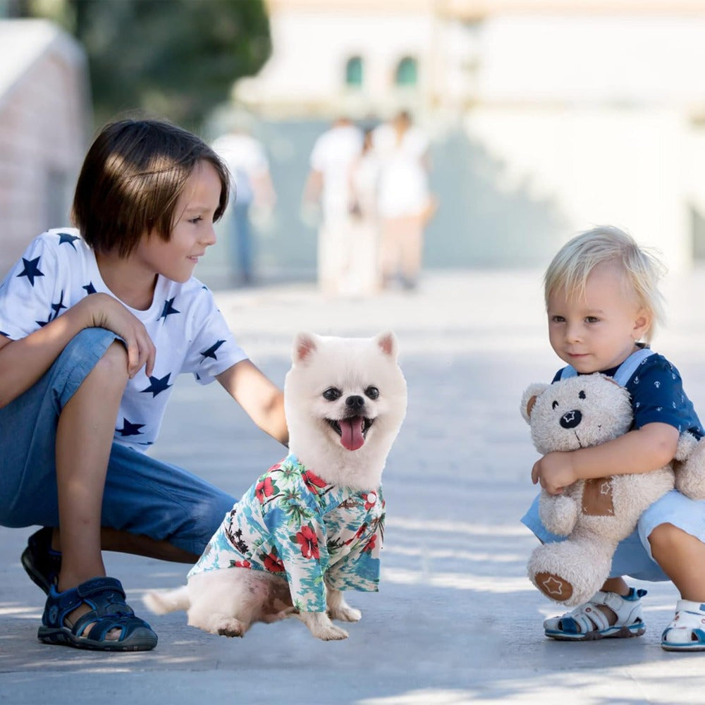 Hawaiian Style Pet Shirts for Summer Beach Fun
