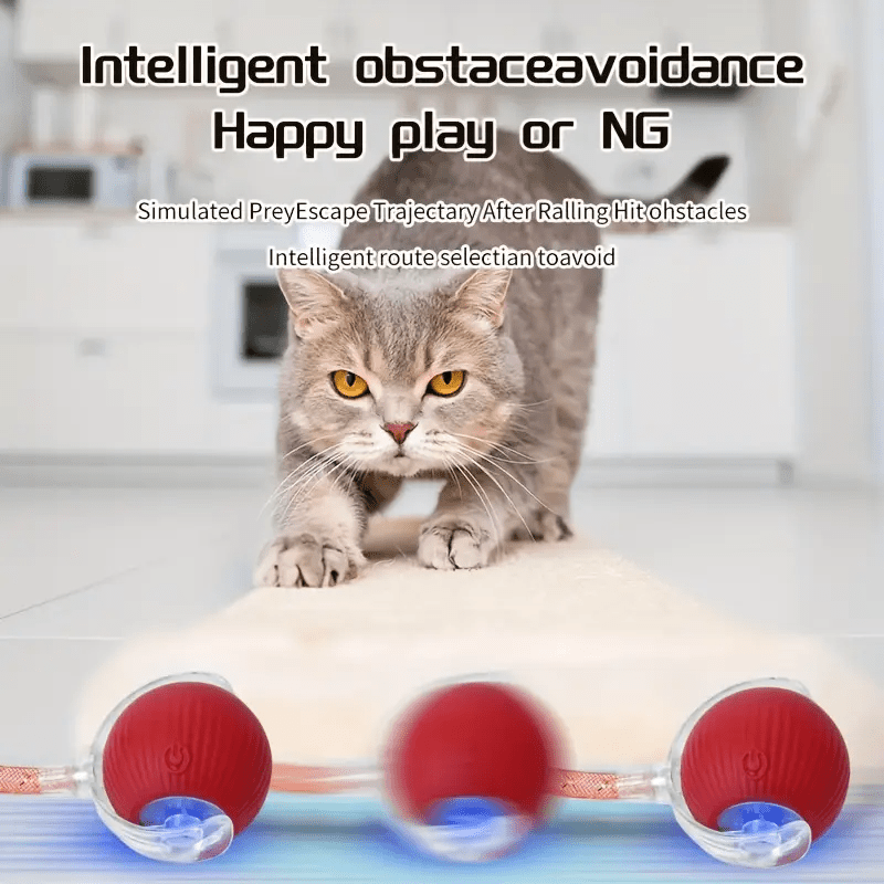 Cat Toy for Indoor Cats – Fun, Safe & Interactive Play for Happy Pets!