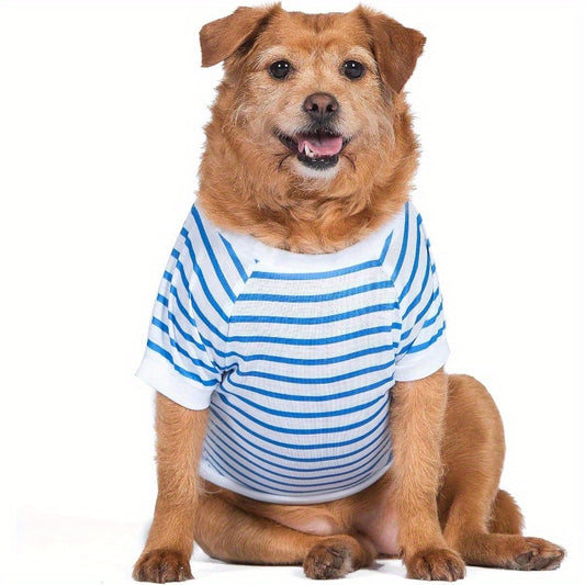 Comfortable Dog T-Shirt for Everyday Wear and Easy Care