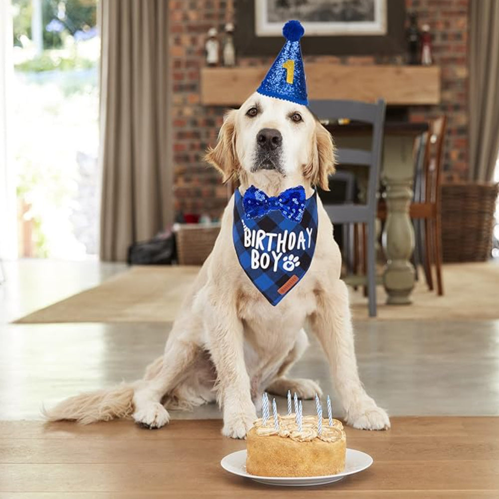 Cute Pet Birthday Party Clothes and Accessories Set for Dogs