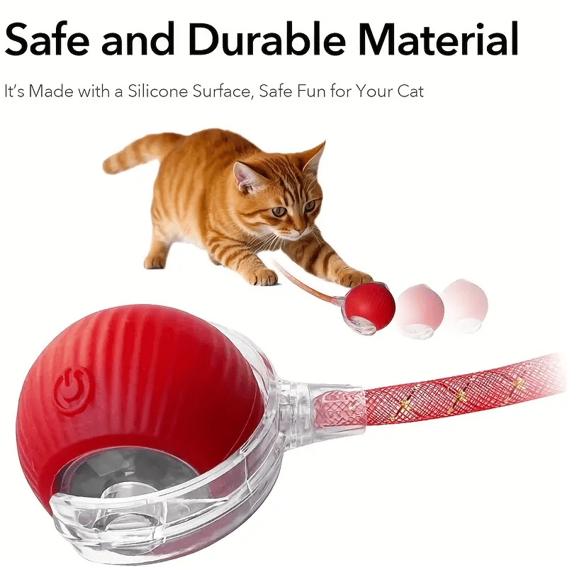 Cat Toy for Indoor Cats – Fun, Safe & Interactive Play for Happy Pets!