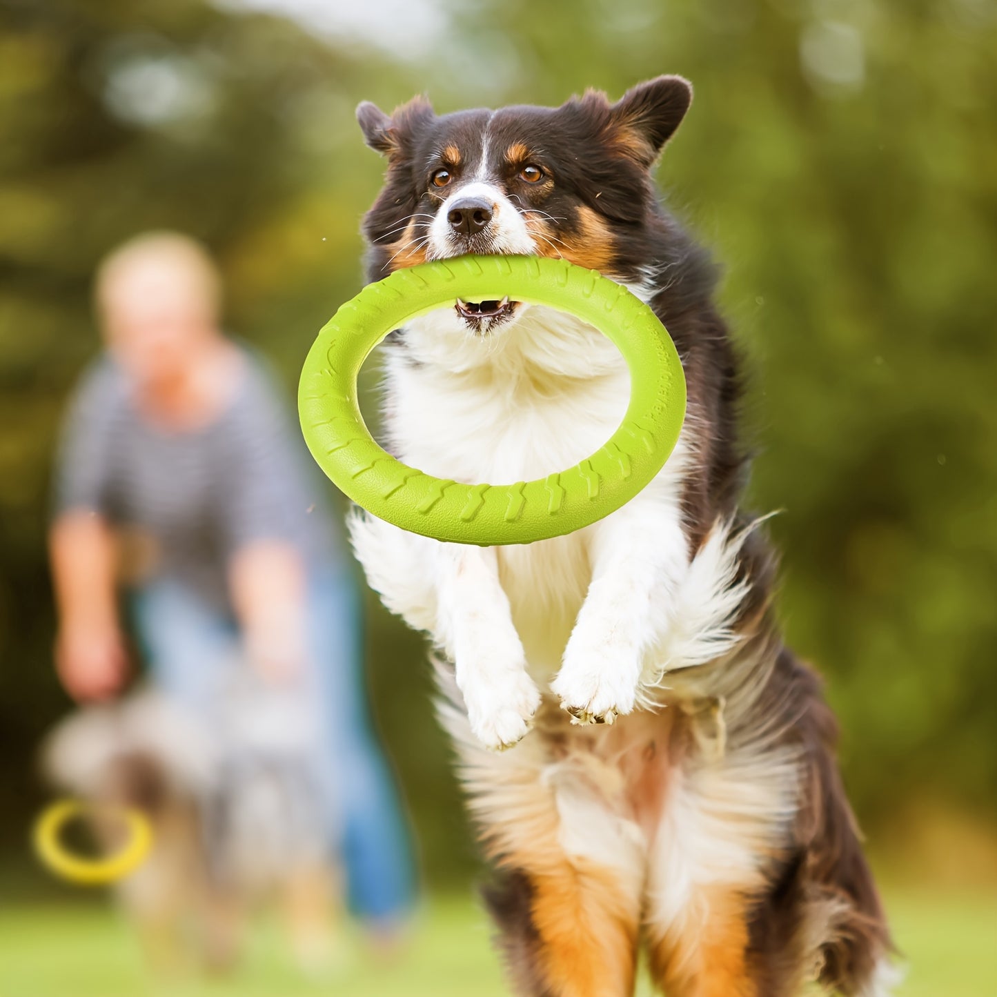 Durable Dog Toy Set for Aggressive Chewers and Training