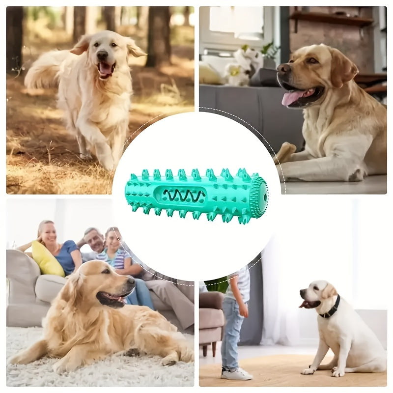 Durable Dog Toothbrush Toy for Chewing and Dental Care