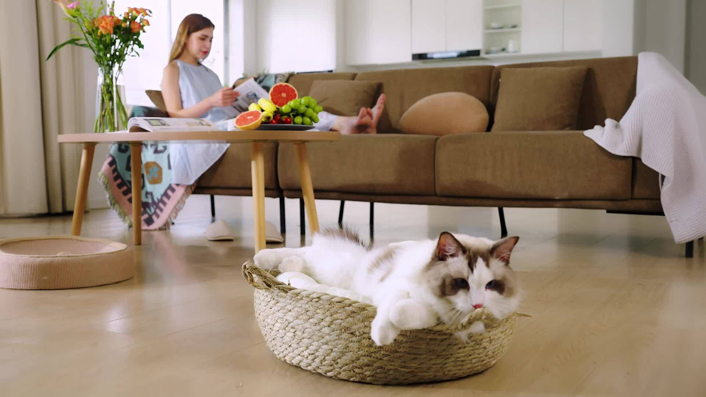 MeoWant Self Cleaning Smart Cat Litter Box With App Control