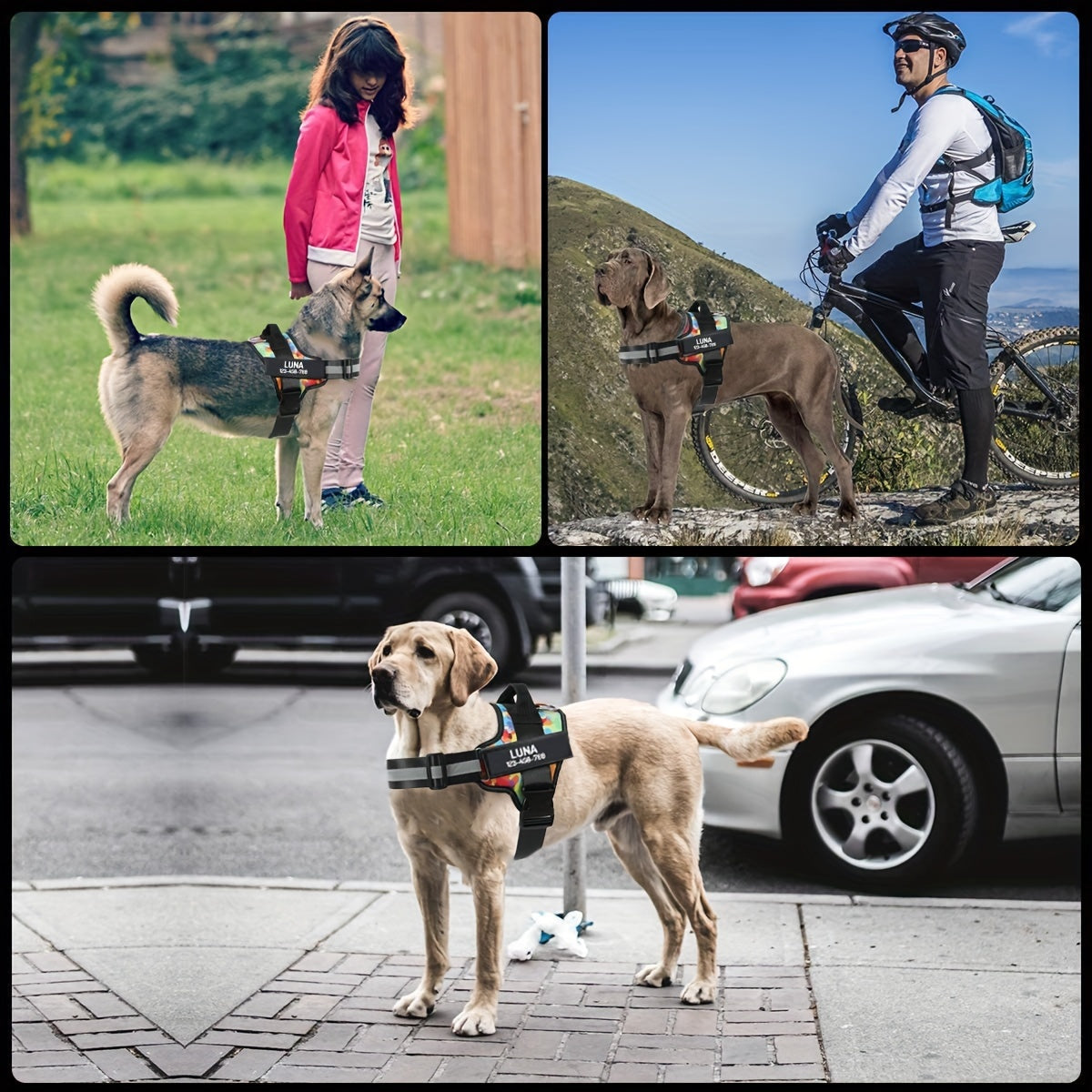 Customizable Heavy Duty No Pull Dog Harness with Personalized Details