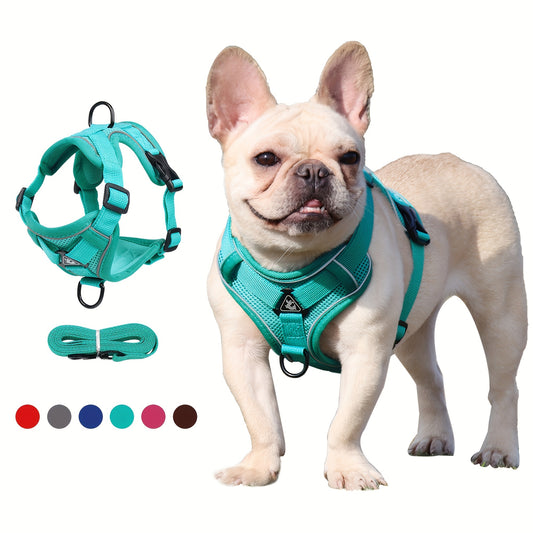 Breathable Reflective Dog Harness and Leash for Small Dogs