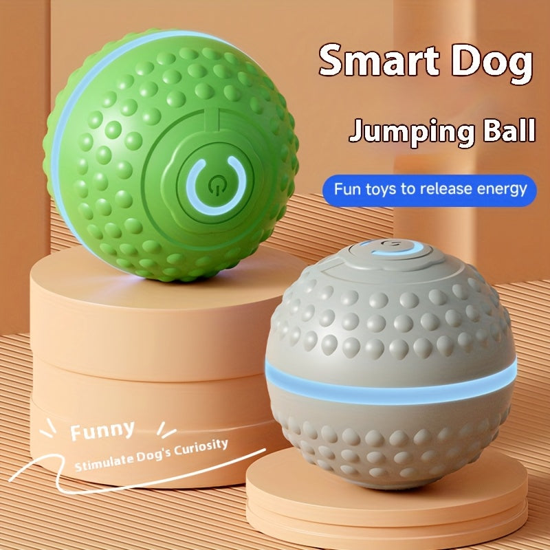 MIAOQUANJI USB Rechargeable Smart Dog Ball for All Breeds