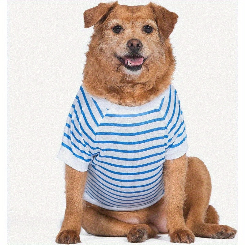 Comfortable Dog T-Shirt for Everyday Wear and Easy Care