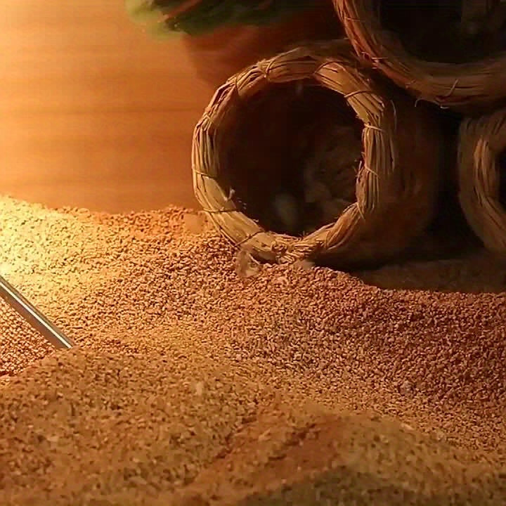 Cat Litter Sifter Kit Stainless Mesh With Handle 3.8mm 5mm