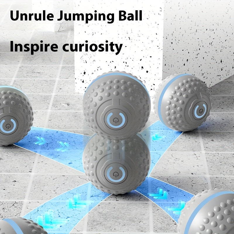 MIAOQUANJI USB Rechargeable Smart Dog Ball for All Breeds