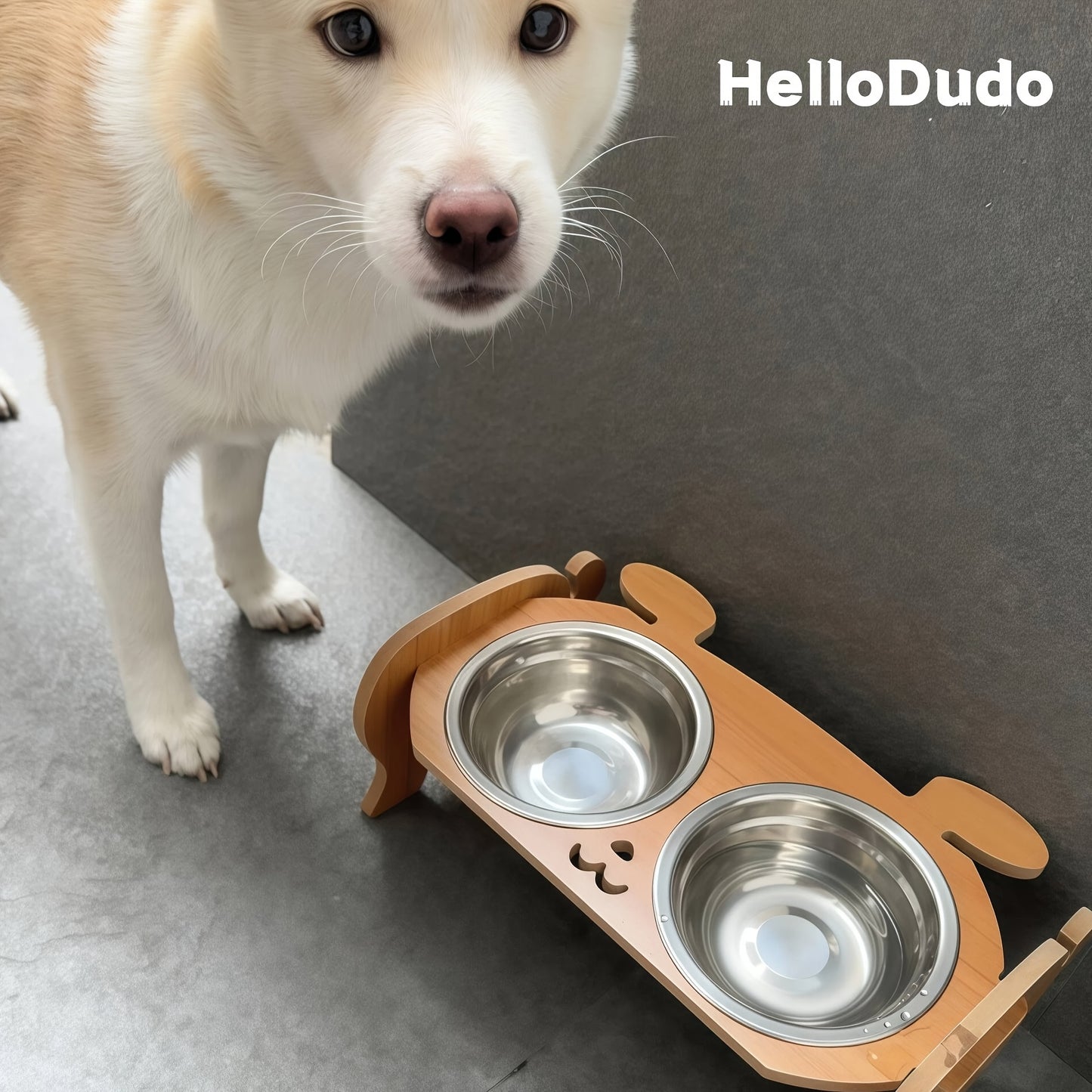 Stainless Steel Elevated Cat Bowl Stand With Adjustable Height