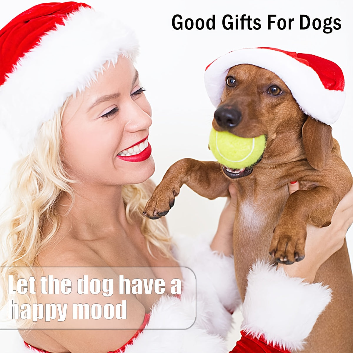 High-Visibility Neon Green Tennis Balls for Dogs and Training