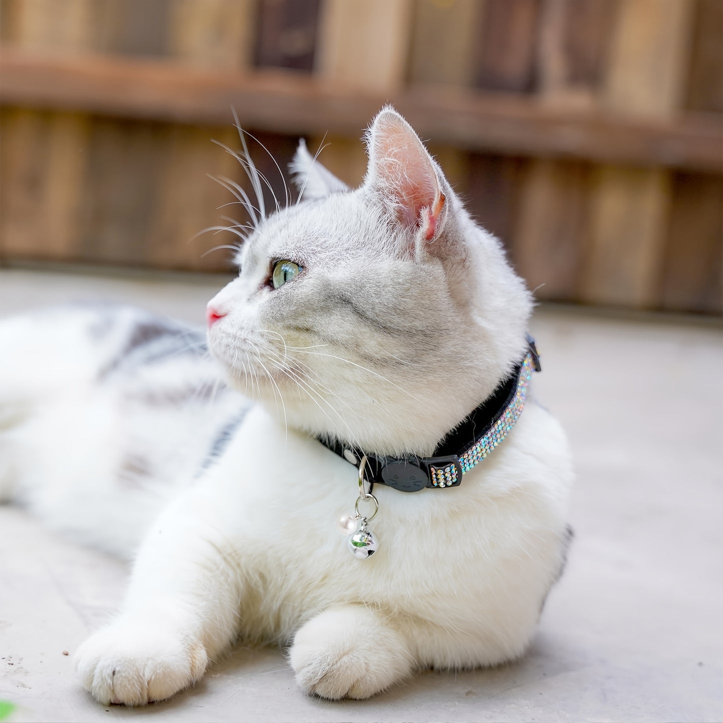 Rhinestone Cat Collar Breakaway With Bell Safety Buckle