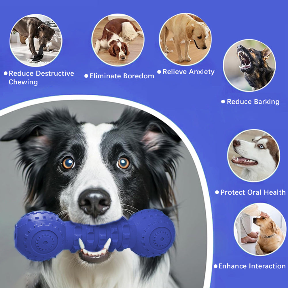 Durable Squeaky Dog Toys for Aggressive Chewers and Large Breeds