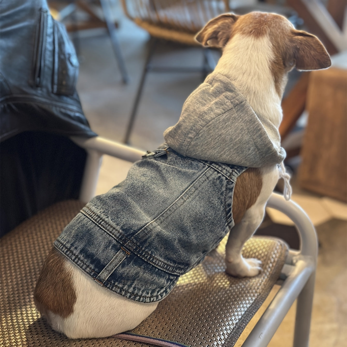 Trendy Denim Dog Vest with Adjustable Hat and Fleece Lining